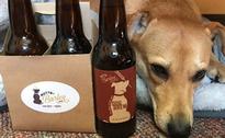 a dog next to dog beer