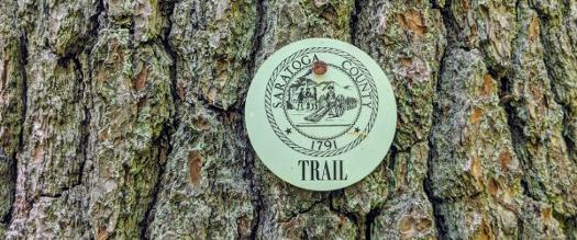 saratoga county trailmarker on tree