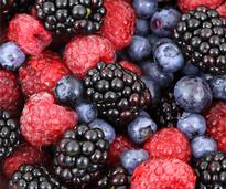 blueberries, blackberries, and rasbperries