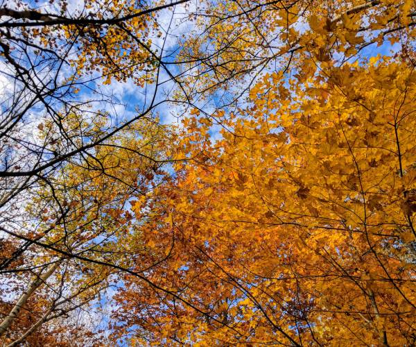 Lake George Leaf Peeping Guide: Find Unique Ways to Enjoy the Foliage