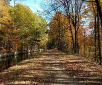 fall bike trail
