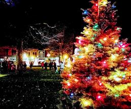 holiday tree at night