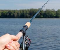 fishing pole in front of lake