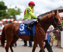 jockey on race horse