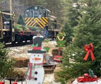 train decked out for winter going by christmas trees and decorations
