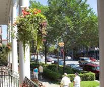 saratoga street in springtime