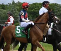 saratoga race track horse and jockey