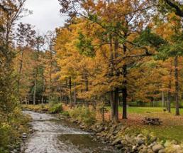 fall in a park with a creek and picnic tables