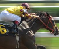 jockey in yellow