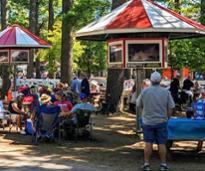 backyard picnic tables at saratoga