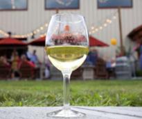wine glass outdoors on a lawn