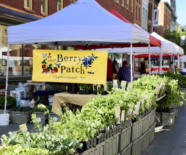 farmers market tent outdoors