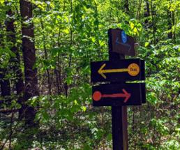 blue, yellow, and red trail marker signs