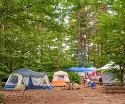 campground in the woods