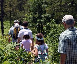 group of adults and kids hiking a trail at the albany pine bush preserve