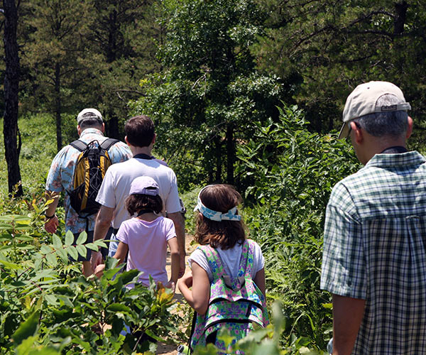 group of adults and kids hiking a trail at the albany pine bush preserve