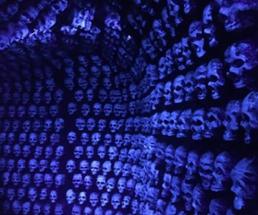 blue light on skulls