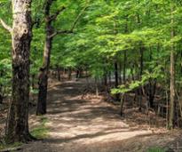 trail on peelbes island state park