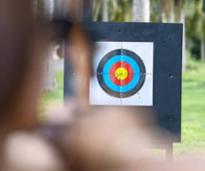 archery target board