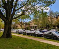 cars by tree on albany street