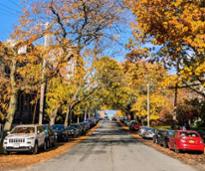 street in albany in fall