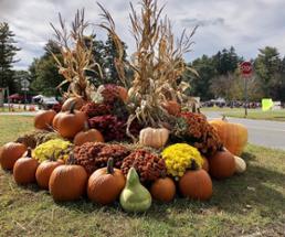 pumpkins and gourds decoration in front of park with festival in fall
