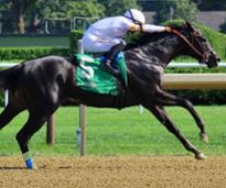 horse racing