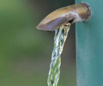 closeup of mineral spring water