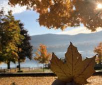 hand holding up leaf in fall