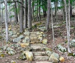 stone stairs on hiking path in woods