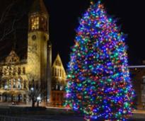 albany tree lighting