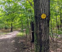 peebles island trail