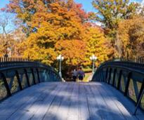 couple goes over washington park bridge in albany in fall
