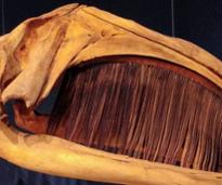 whale head bones