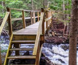 bridge over rushing water in the woods
