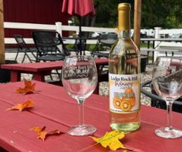 wine glasses, wine bottle, and fall leaves on outdoor table