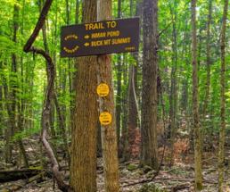trail sign on tree for inman pond and buck mountain 