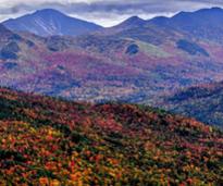 foliage from mountain summit