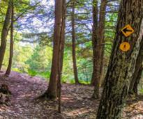 hiking trail