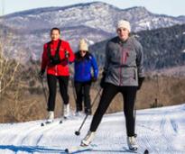 three people cross-country skiing