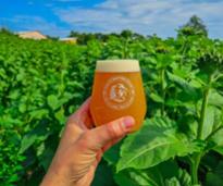 person holding up a beer glass