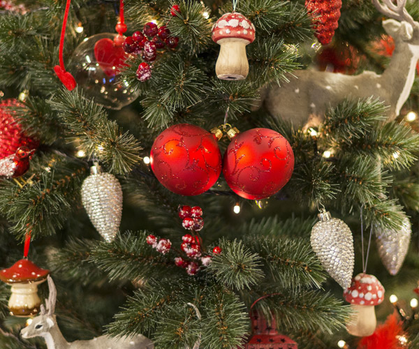 ornaments on a tree