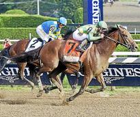 two horses racing in the travers stakes