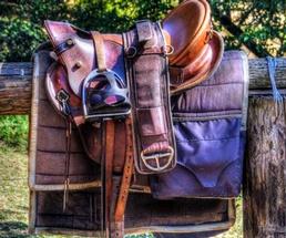 saddle on a fence