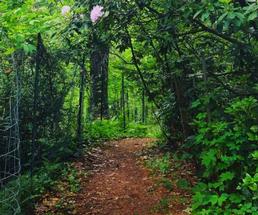 scenic nature trail
