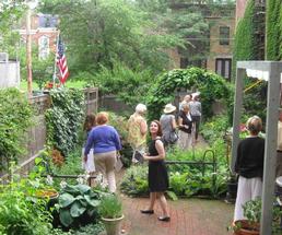 people exploring a garden