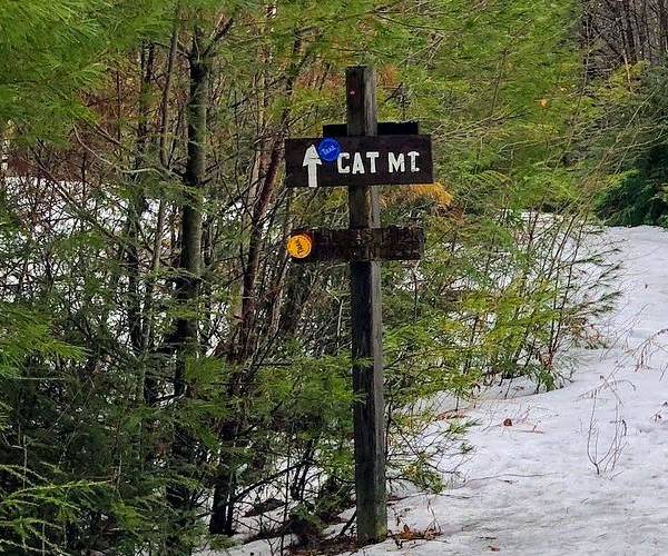 Cat Mountain sign in winter
