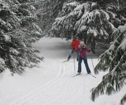 two skiers in the woods on a snowy trail