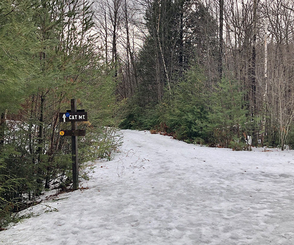 Lake Area Snowshoeing Guide Find Trails, Rentals & More