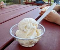 vanilla ice cream dish